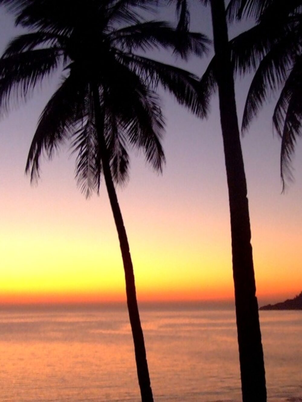 Goa