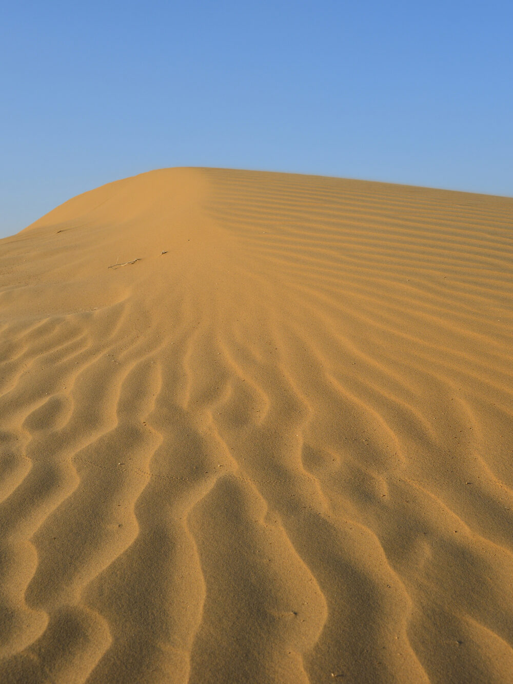 Rajasthan